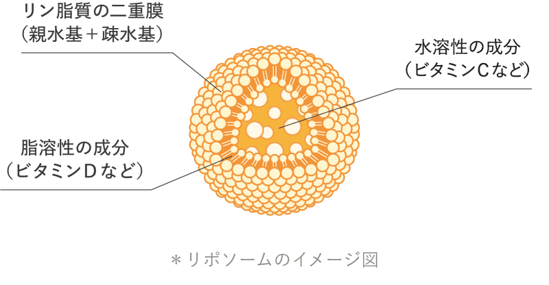 リポゾームのイメージ図